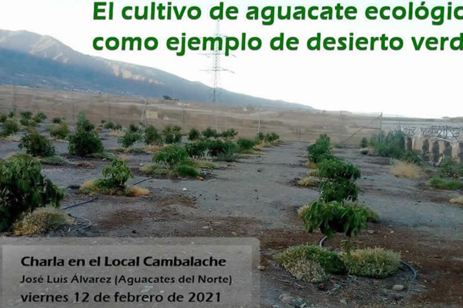 aguacate ecológico