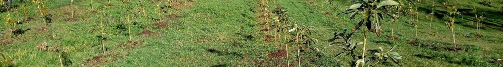 servicios agrarios en Asturias
