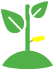 planta certificada